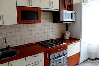 Апартаменты Apartment On Prospekt Kirova Днепр Апартаменты с 2 спальнями-34